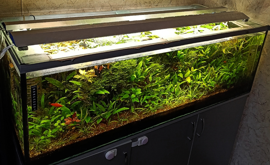 ����������� ���������� ��� ���������