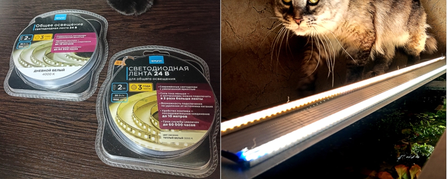 ����� �� ���������