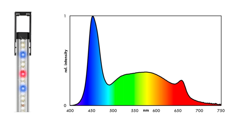 ����� �������