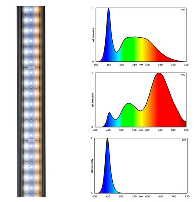 ����� �����