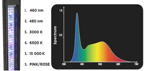 ������� �����