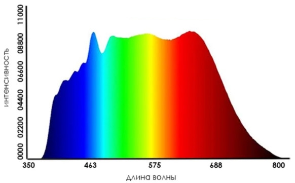 ������ ���������� �����