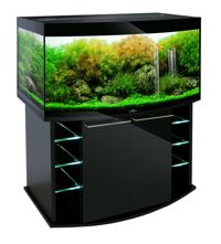 Кристалл Панорамик 310