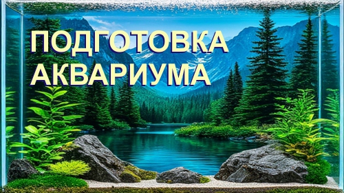 ���������� ��������� � ����������