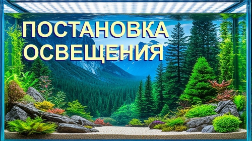 ��������� ��������� ��� ����