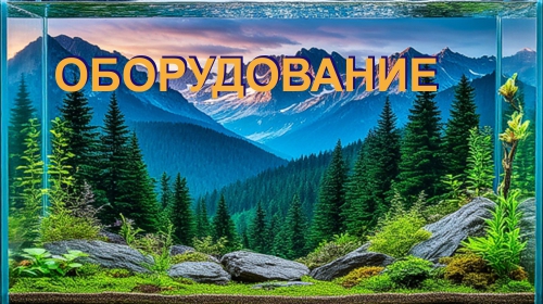 ���������������� ��� ������ ���������