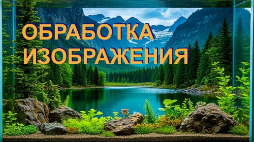 ��������� �����������