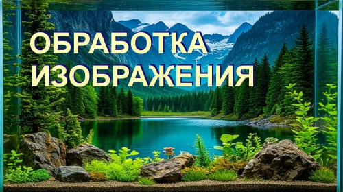 ��������� �����������